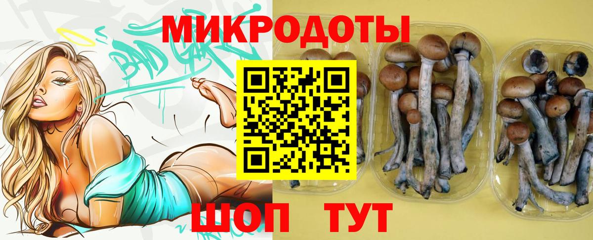 Корсаков  Галлюциногенные грибы прущие грибы  Псилоцибиновые грибы прущие грибы  Вход с VPN 